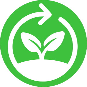 Custom icon