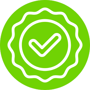 Custom icon